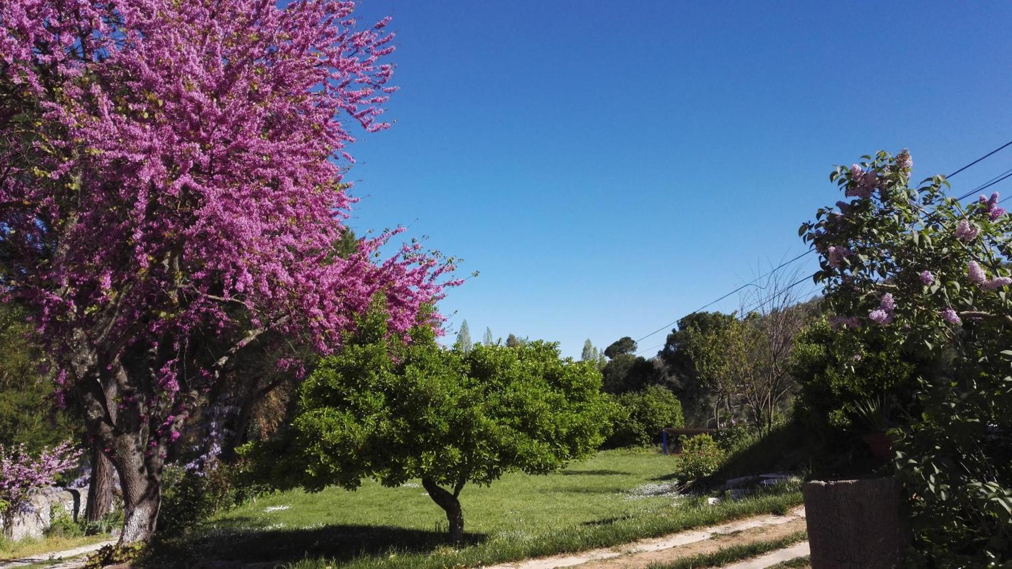 Hotel Casa Grande Constantina Εξωτερικό φωτογραφία